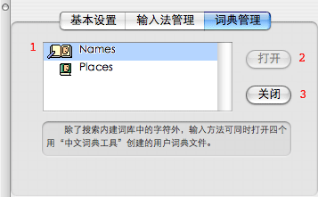 Dictionary Manager tab